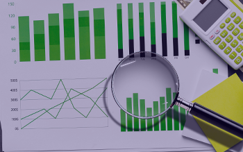 Financial analysis and presentation (State-owned holding company)